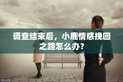 调查结束后，小鹿情感挽回之路怎么办？