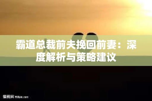霸道总裁前夫挽回前妻：深度解析与策略建议