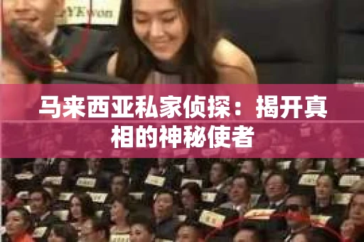 马来西亚私家侦探：揭开真相的神秘使者