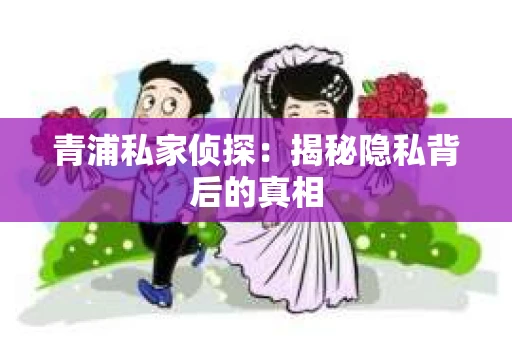 青浦私家侦探：揭秘隐私背后的真相