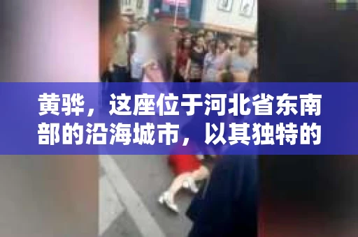 黄骅，这座位于河北省东南部的沿海城市，以其独特的地理位置和丰富的历史文化而闻名。然而，在这座城市中，还有一群人，他们以另一种方式默默守护着社会的公平与正义——私家侦探。今天，我们就来聊聊黄骅的私家侦探，看看他们是如何在这个城市中发挥作用的。