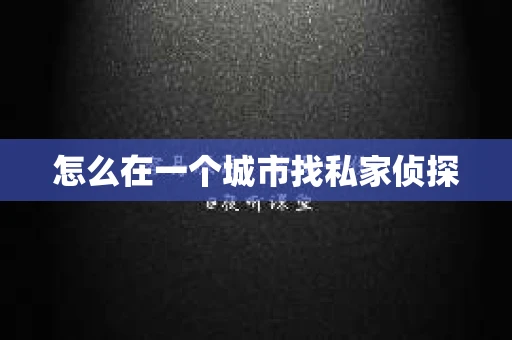怎么在一个城市找私家侦探