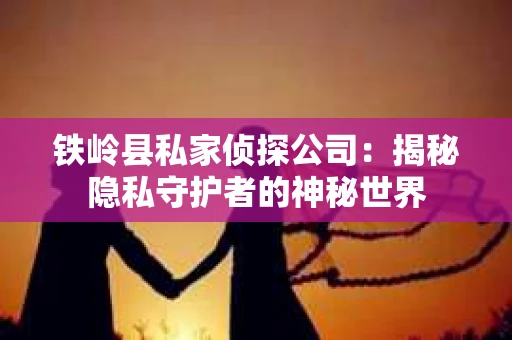 铁岭县私家侦探公司：揭秘隐私守护者的神秘世界