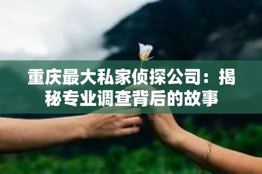 重庆最大私家侦探公司：揭秘专业调查背后的故事