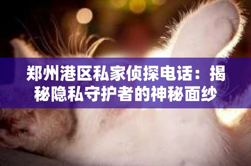 郑州港区私家侦探电话：揭秘隐私守护者的神秘面纱