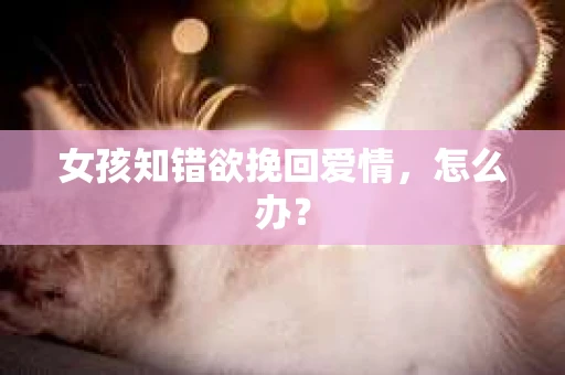 女孩知错欲挽回爱情，怎么办？