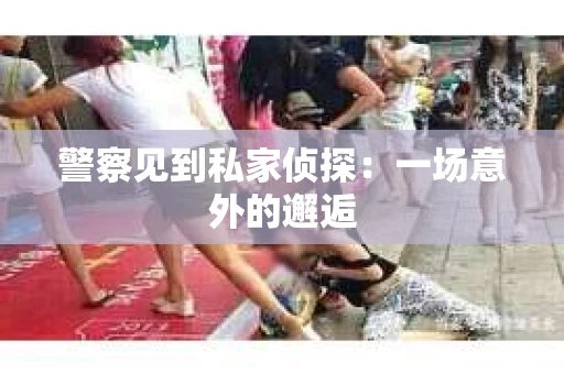 警察见到私家侦探：一场意外的邂逅