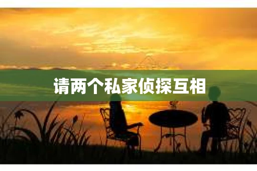 请两个私家侦探互相