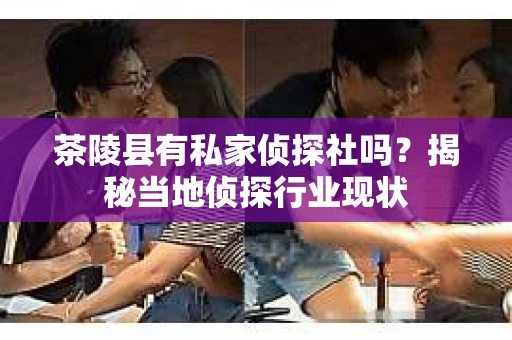 茶陵县有私家侦探社吗？揭秘当地侦探行业现状