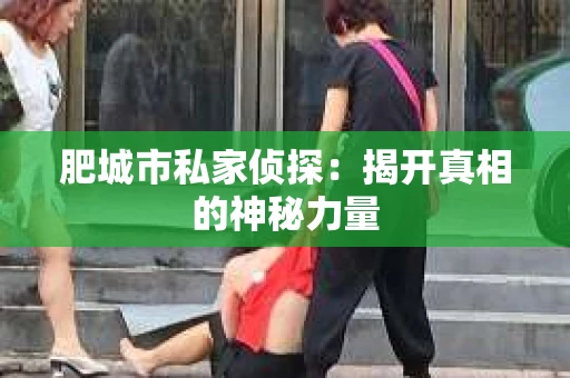 肥城市私家侦探：揭开真相的神秘力量
