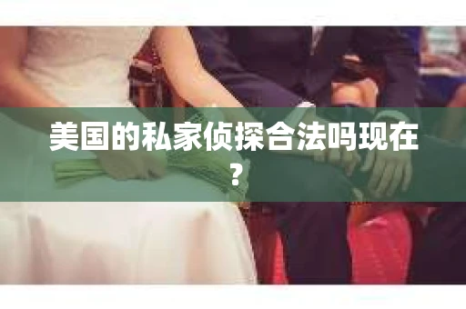 美国的私家侦探合法吗现在？