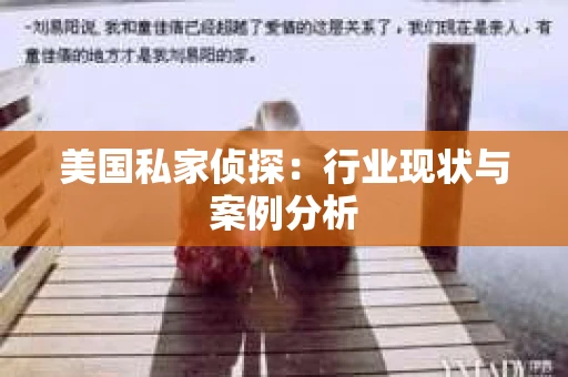 美国私家侦探：行业现状与案例分析