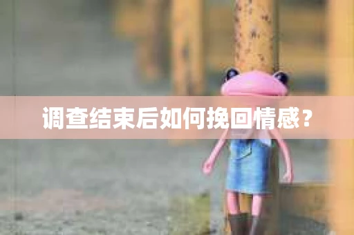 调查结束后如何挽回情感？