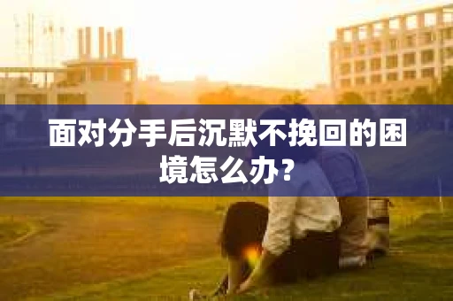 面对分手后沉默不挽回的困境怎么办？