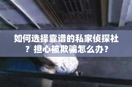 如何选择靠谱的私家侦探社？担心被欺骗怎么办？